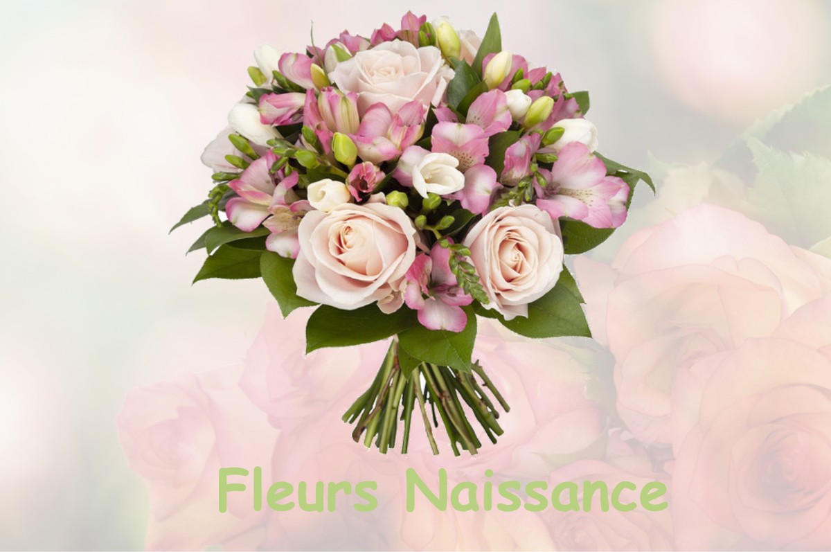 fleurs naissance GOUSSAINCOURT